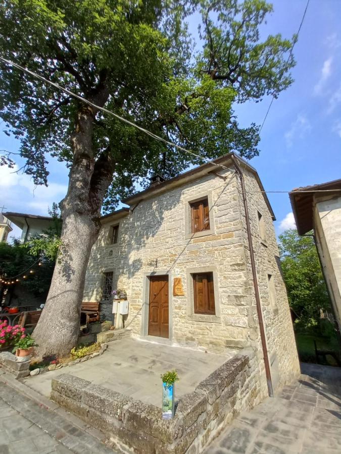 شقة Casina La Quercia سانتا صوفيا المظهر الخارجي الصورة