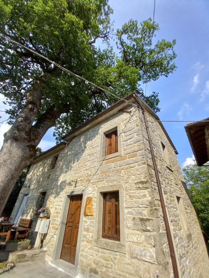 شقة Casina La Quercia سانتا صوفيا المظهر الخارجي الصورة